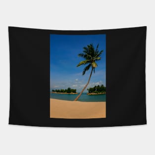 Tropical Palm on the Beach Tapestry