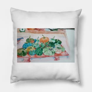 Summer Watercolor Pumpkin Squash Pillow