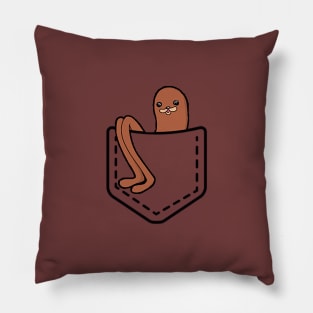 Pocket Gondola Pillow