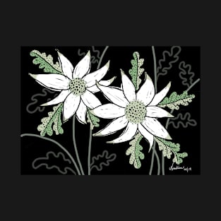 Australian Flannel Flower T-Shirt