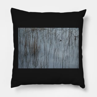 Pond code Pillow