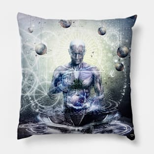 Experience So Lucid Discovery So Clear Pillow