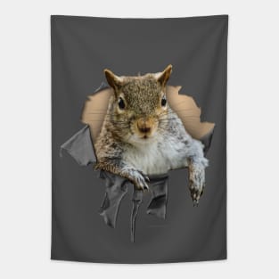 Ripped Shirt Squirrel - funny squirrel lover Tapestry