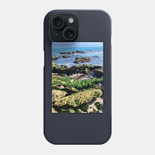 Seaweed covered rocks on the shore Phone Case