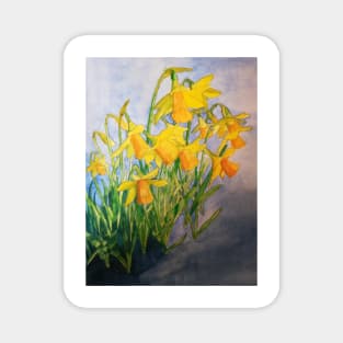 Daffodils watercolour painting Magnet