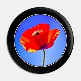 Circular Framed Digital Red Poppy Flower Back Version (MD23Mrl0017) Pin