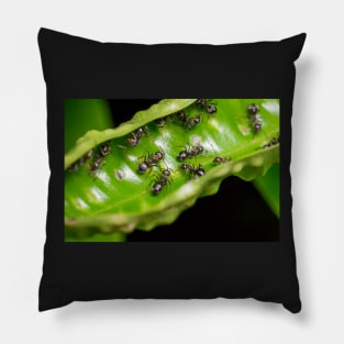 Unique and organic photo of a swarm of ants Pillow