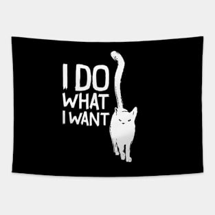 Funny cat I do what I want with my cat funny gift Tapestry