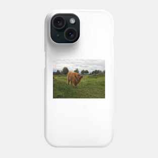 Scottish Highland Cattle Calf 1814 Phone Case