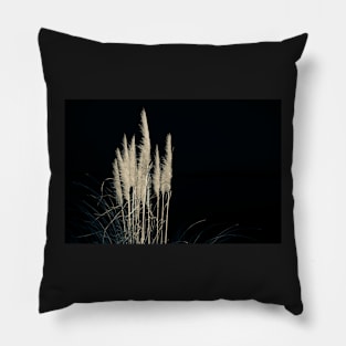 Pampas flowers and leaves isolated on black. Pillow