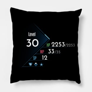 Level 30 Pillow