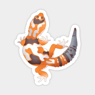 Whiteout African Fat Tailed Gecko Magnet