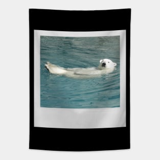 Polar Bear Photograph (Chillin') Animal Lover Gift Funny Graphic Picture Tapestry