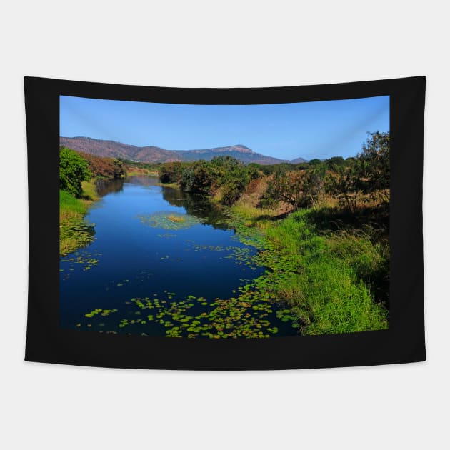 Stuart Creek Looking Towards Mount Stuart Tapestry by pops