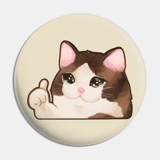 ok meme cat Pin