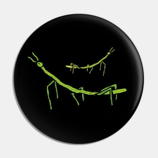 Stick Bug Insect Pin