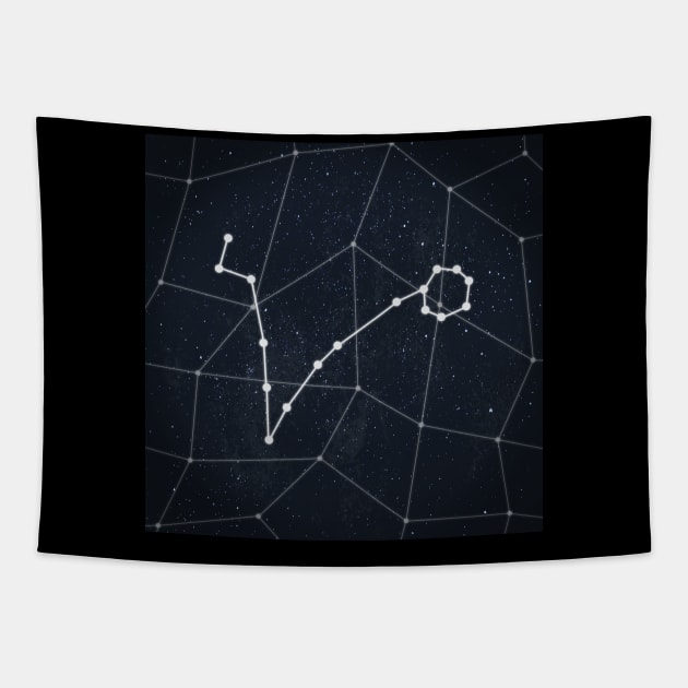 Pisces Constellation Tapestry by RAADesigns