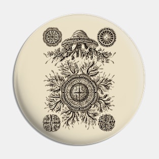 Ernst Haeckel Discomedusea Jellyfish  Wenge Plate 28 Pin