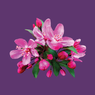 Cherry Blossom T Shirts Page 2 Teepublic
