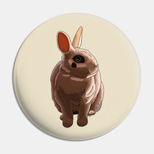 Dwarf Hotot Rabbit Pin