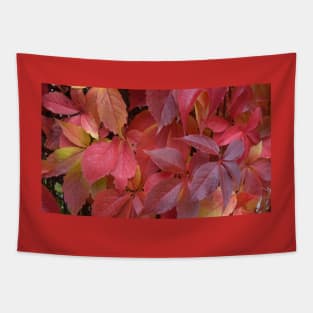 Red Autumn Leaves Tapestry