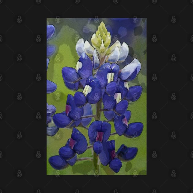 Texas Bluebonnet by elisewied