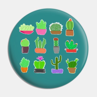 Little cactus garden Pin