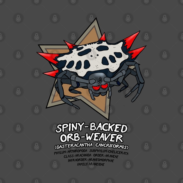 Spiny-Backed Orb-Weaver by Cyborg One