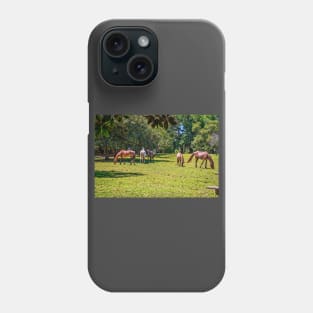 Wild Horses at Cumberland Island National Seashore Phone Case