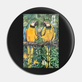 Blue and Gold Macaws #2 Pin