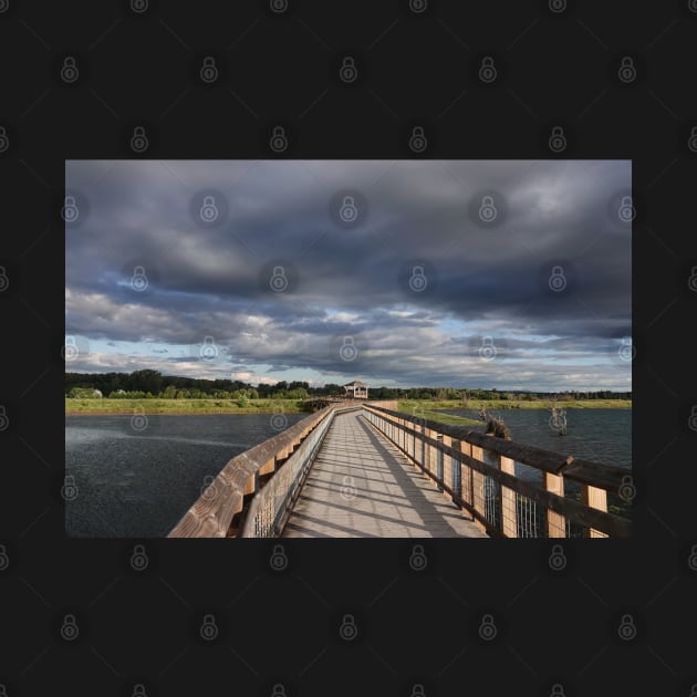 Boardwalk at Nisqually National Wildlife Refuge by SDym Photography