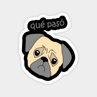 Que paso pug qué pasó dog Magnet