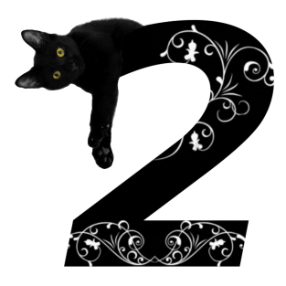 Black cat No.2 Magnet