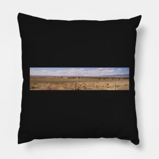 6117 Prairie Pillow