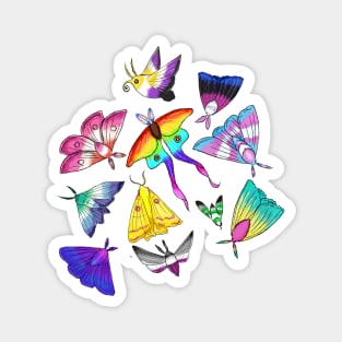 Pride Moths 2023 Magnet