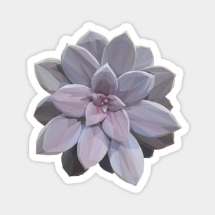 Geometrical Violet Succulent Magnet