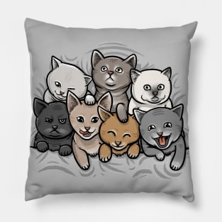 KITTENS Pillow