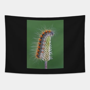 Small Oak Eggar moth caterpillar Tapestry