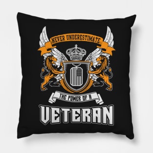 Never Underestimate The Power Of A Veteran Pillow