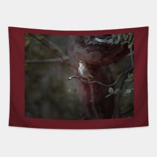 Yellow-rumped Warbler At Water Spout Tapestry