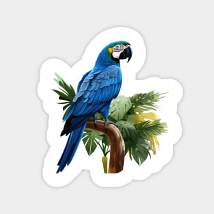 Hyacinth Macaw Magnet