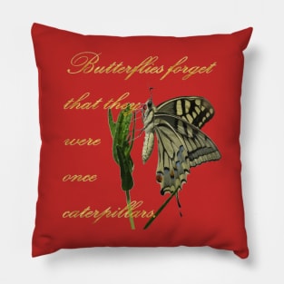 Butterflies Forget They Were Once Caterpillars Proverbial Text Pillow