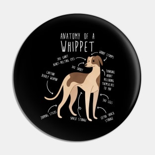Whippet Dog Anatomy Pin