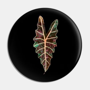 Alocasia Polly Pin