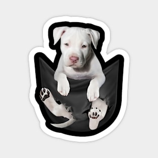 Staffordshire Bull Terrier with love Magnet