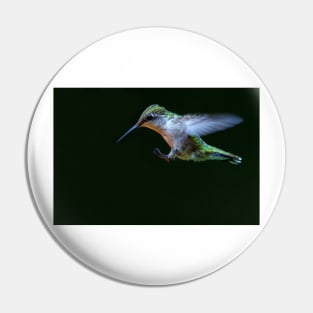 Incoming - Ruby-throated hummingbird Pin