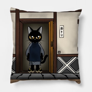 Private door Pillow