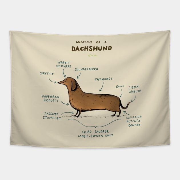 Anatomy of a Dachshund Tapestry by Sophie Corrigan