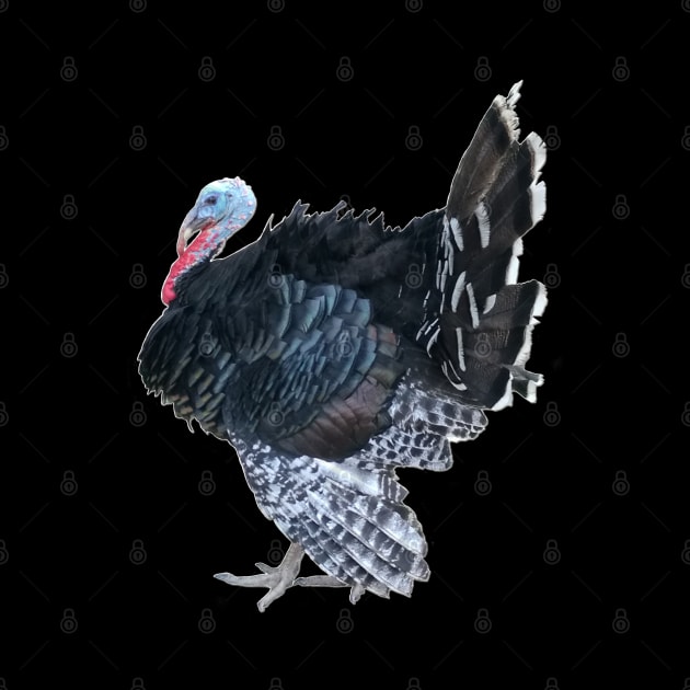 Retro Vintage Turkey Jive Thanksgiving by BurunduXX-Factory