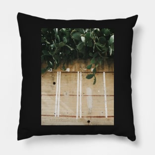 Indian Fig Cacti Pillow